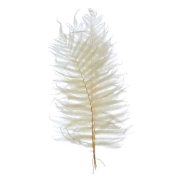 Creative Co Op Dried Cream Fern Bouquet - Picture 5 of 12